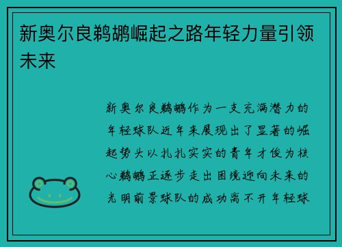 新奥尔良鹈鹕崛起之路年轻力量引领未来